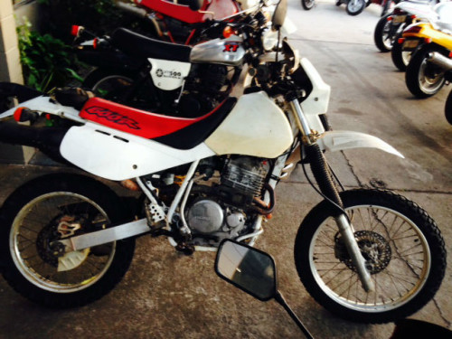 Honda xr600 for sale australia #7